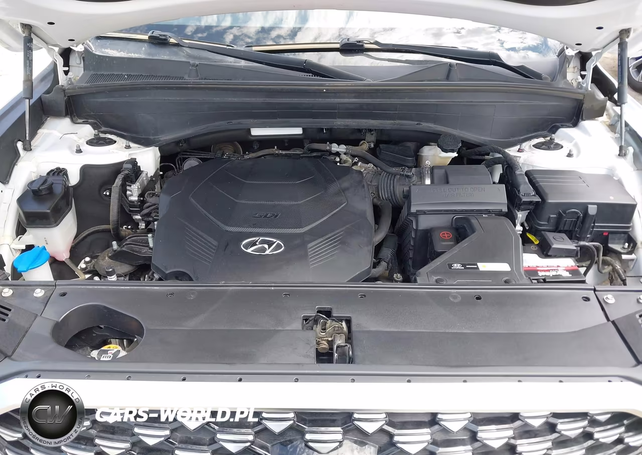 2021 Hyundai Palisade Limited VIN:KM8R5DHE4MU277387 - 10