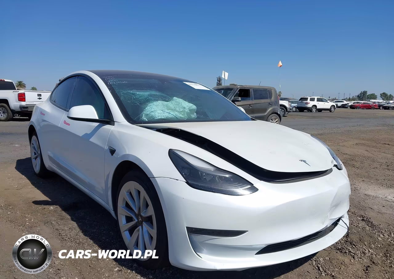 2023 Tesla Model 3 Rear-Wheel Drive