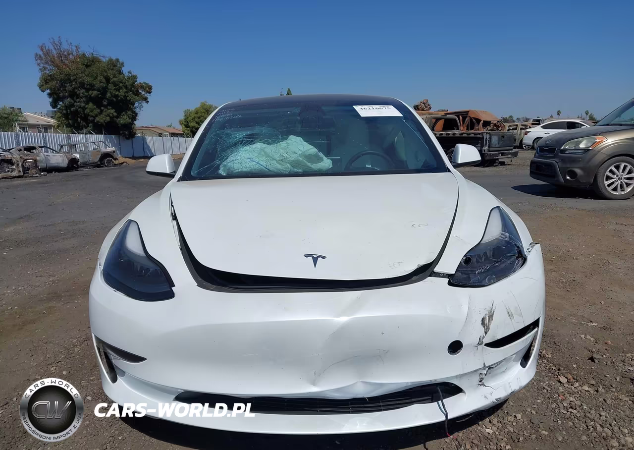 2023 Tesla Model 3 Rear-Wheel Drive VIN:5YJ3E1EA6PF384769 - 11