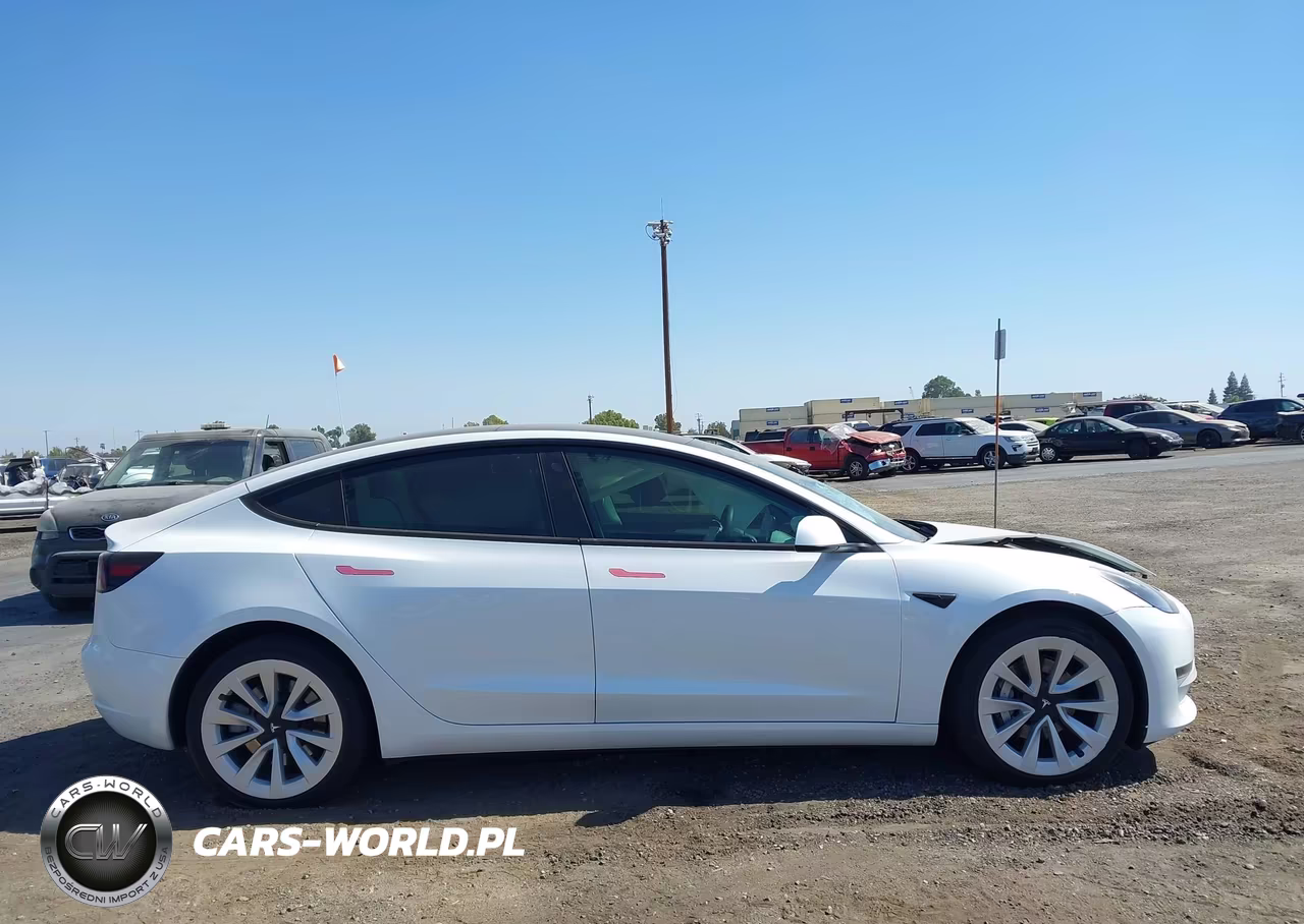 2023 Tesla Model 3 Rear-Wheel Drive VIN:5YJ3E1EA6PF384769 - 12