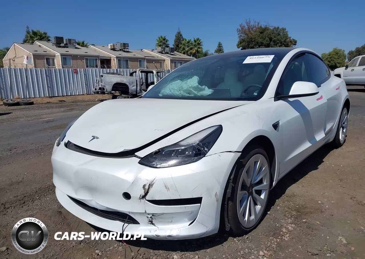 2023 Tesla Model 3 Rear-Wheel Drive VIN:5YJ3E1EA6PF384769 - 2