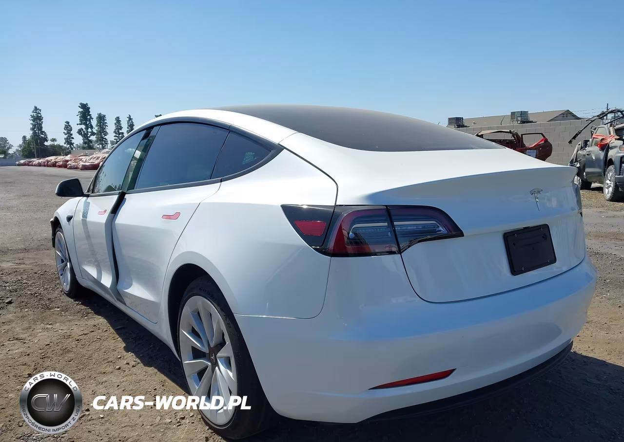 2023 Tesla Model 3 Rear-Wheel Drive VIN:5YJ3E1EA6PF384769 - 3