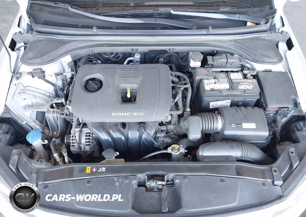 2017 Hyundai Elantra Limited VIN:KMHD84LF7HU254502 - 10