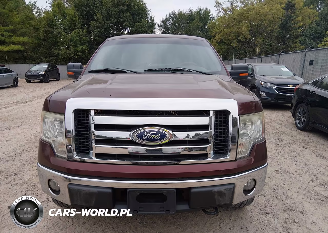 2010 Ford F-150 Fx4-Harley-Davidson-King Ranch-Lariat-Platinum-Xl-Xlt VIN:1FTFW1EV3AKB83595 - 11