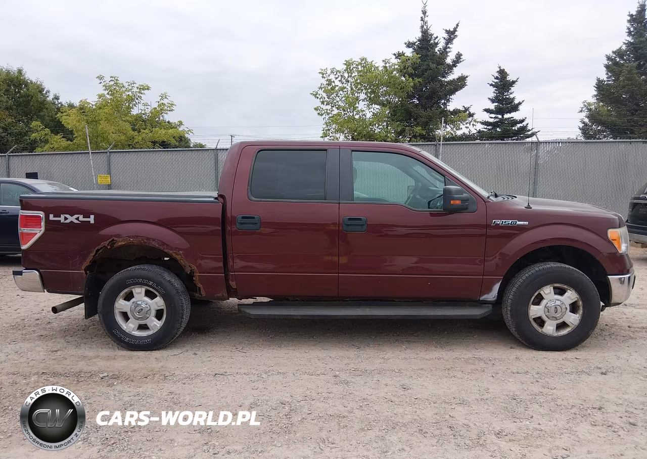 2010 Ford F-150 Fx4-Harley-Davidson-King Ranch-Lariat-Platinum-Xl-Xlt VIN:1FTFW1EV3AKB83595 - 12