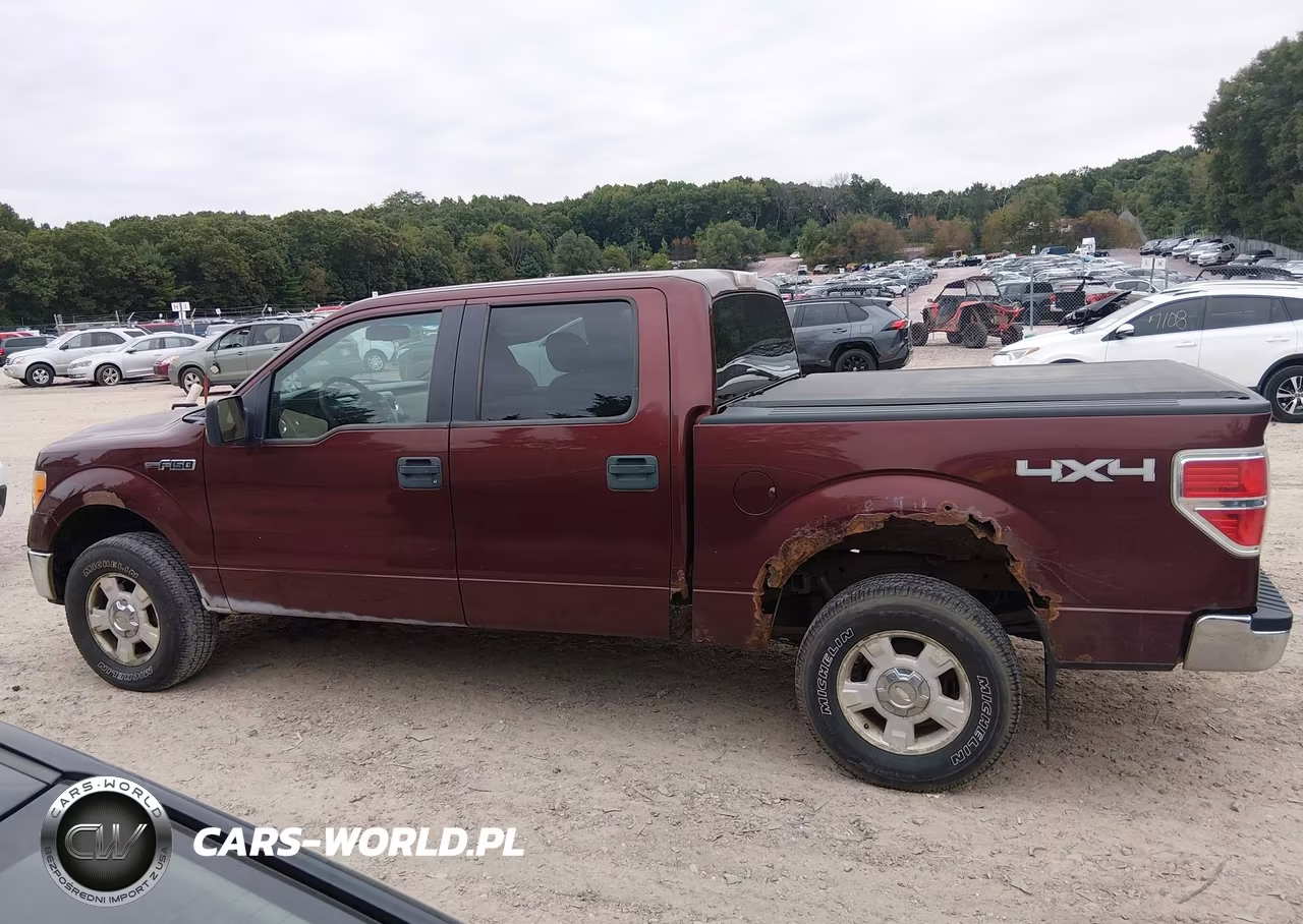 2010 Ford F-150 Fx4-Harley-Davidson-King Ranch-Lariat-Platinum-Xl-Xlt VIN:1FTFW1EV3AKB83595 - 13