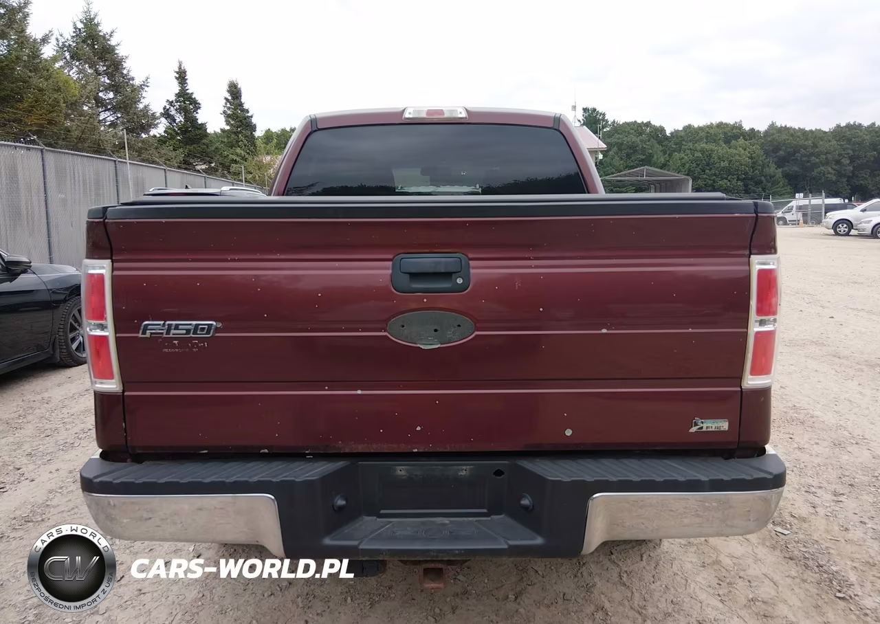 2010 Ford F-150 Fx4-Harley-Davidson-King Ranch-Lariat-Platinum-Xl-Xlt VIN:1FTFW1EV3AKB83595 - 15