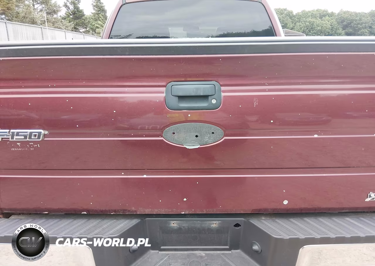 2010 Ford F-150 Fx4-Harley-Davidson-King Ranch-Lariat-Platinum-Xl-Xlt VIN:1FTFW1EV3AKB83595 - 19