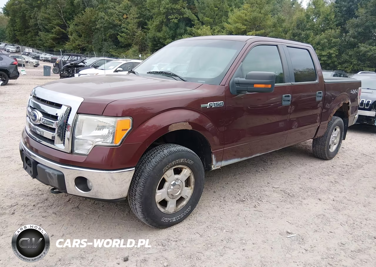 2010 Ford F-150 Fx4-Harley-Davidson-King Ranch-Lariat-Platinum-Xl-Xlt VIN:1FTFW1EV3AKB83595 - 2