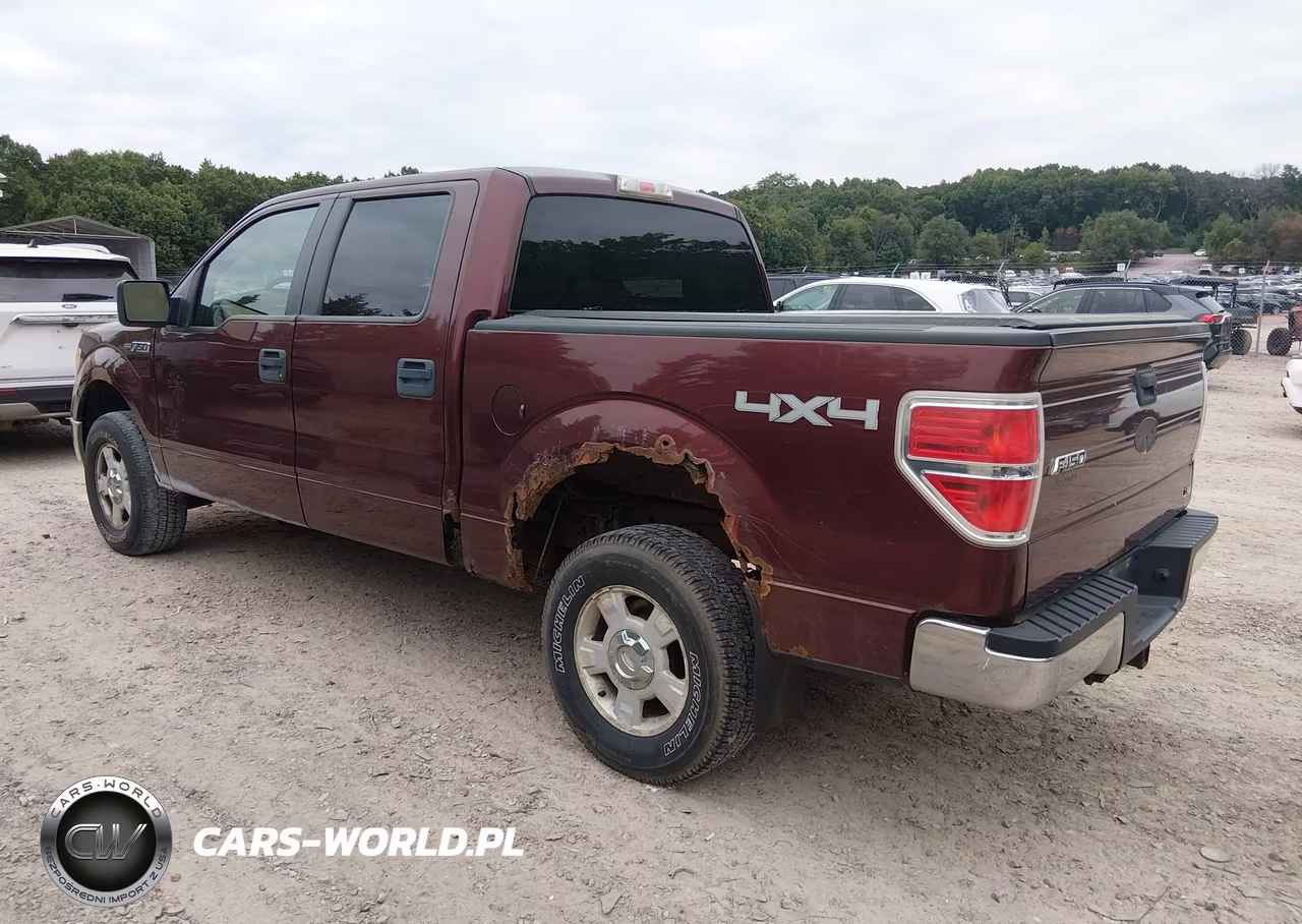 2010 Ford F-150 Fx4-Harley-Davidson-King Ranch-Lariat-Platinum-Xl-Xlt VIN:1FTFW1EV3AKB83595 - 3