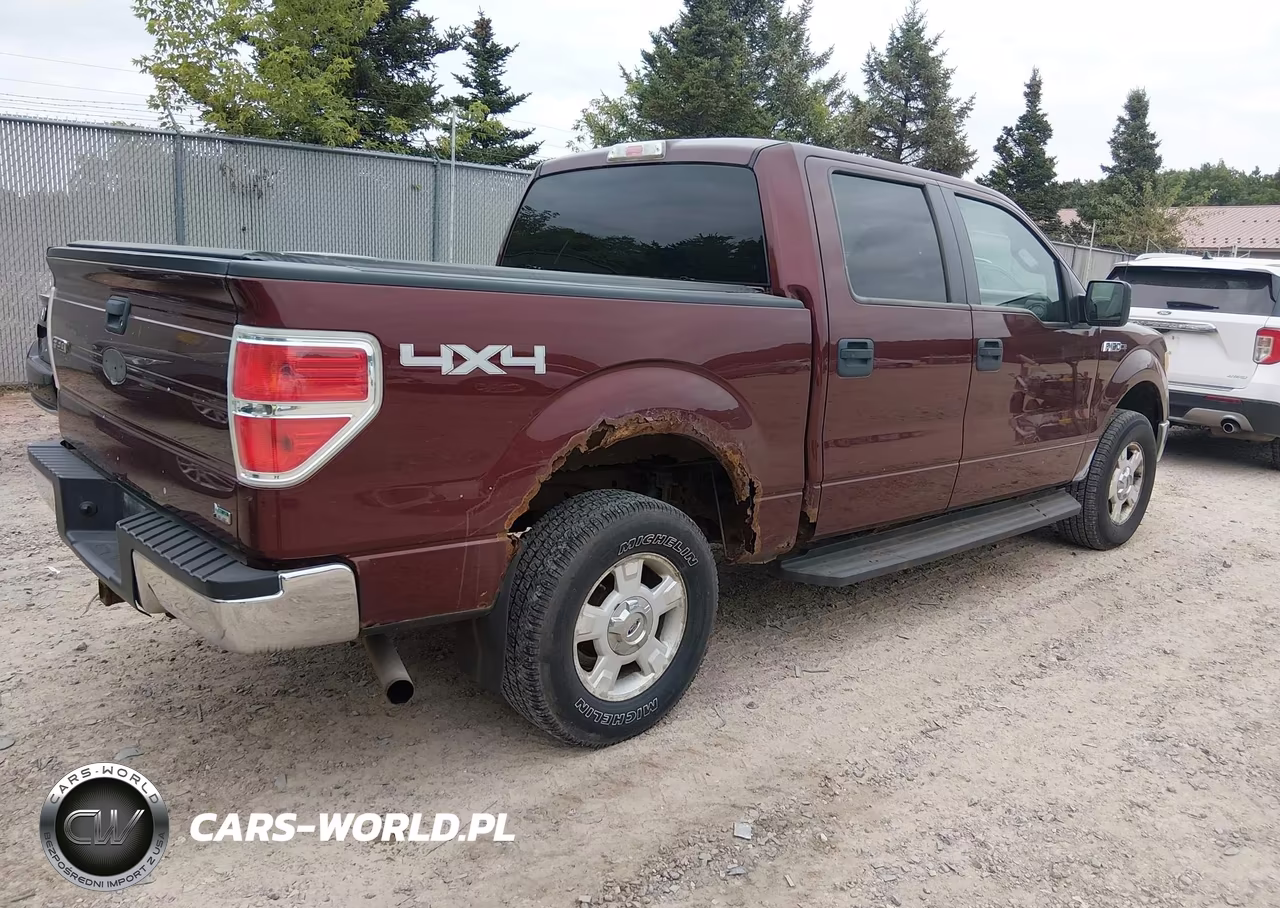 2010 Ford F-150 Fx4-Harley-Davidson-King Ranch-Lariat-Platinum-Xl-Xlt VIN:1FTFW1EV3AKB83595 - 4