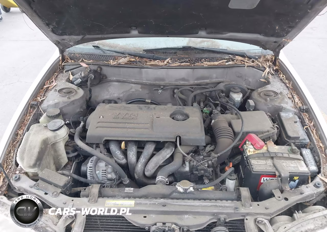 2001 Toyota Corolla Le VIN:1NXBR12E71Z451011 - 10
