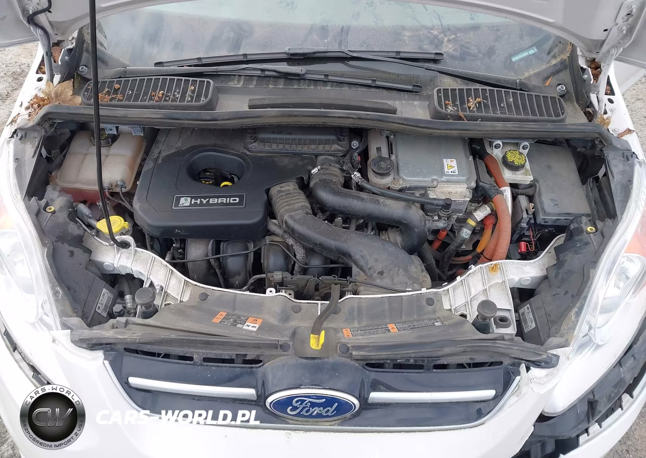 2015 Ford C-Max Hybrid Sel VIN:1FADP5BU7FL120353 - 10