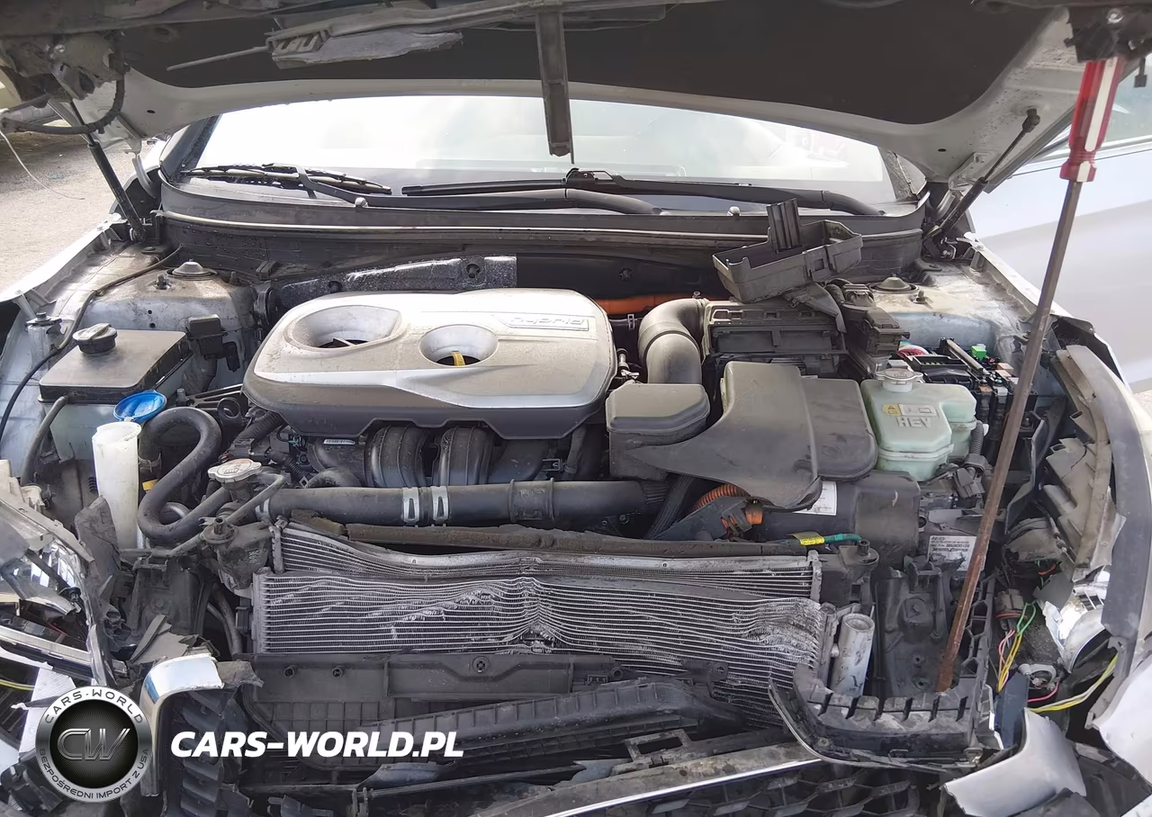 2016 Hyundai Sonata Hybrid Se VIN:KMHE24L17GA010987 - 10