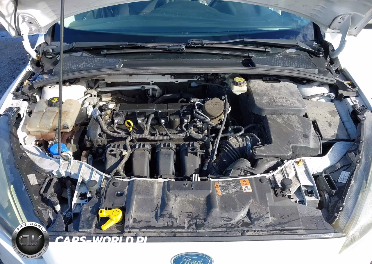 2015 Ford Focus Se VIN:1FADP3F20FL305325 - 10