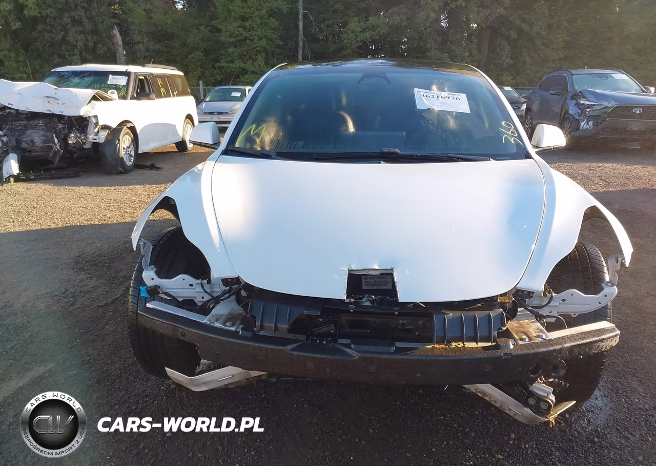 2021 Tesla Model 3 Standard Range Plus Rear-Wheel Drive VIN:5YJ3E1EA6MF976863 - 12