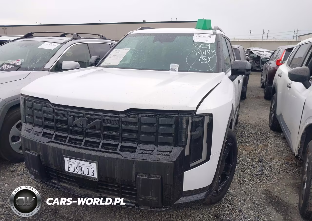 2027 Kia Telluride Hybrid X-Line Sx VIN:5XYPDESA4VG019884 - 12