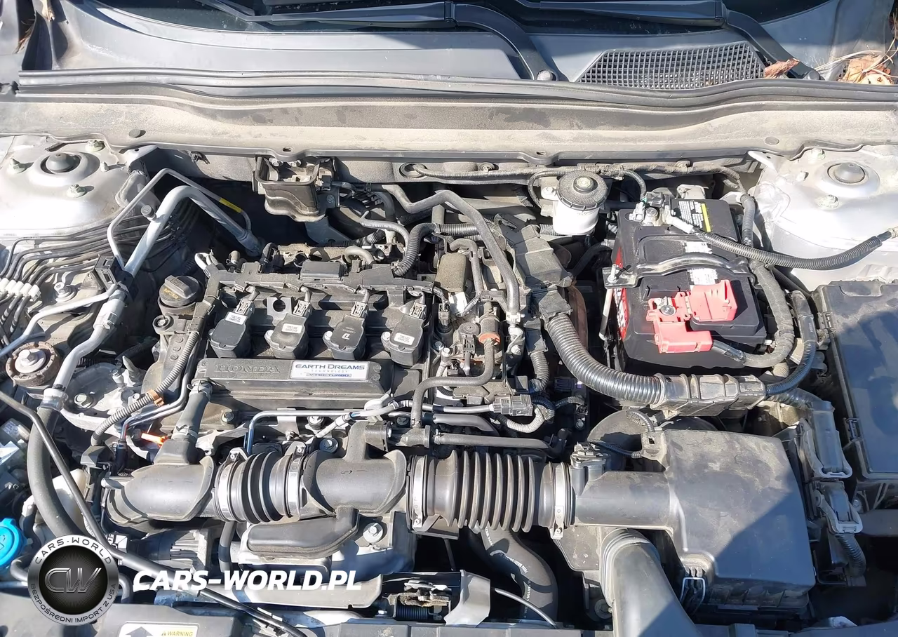 2019 Honda Accord Lx VIN:1HGCV1F16KA011586 - 10