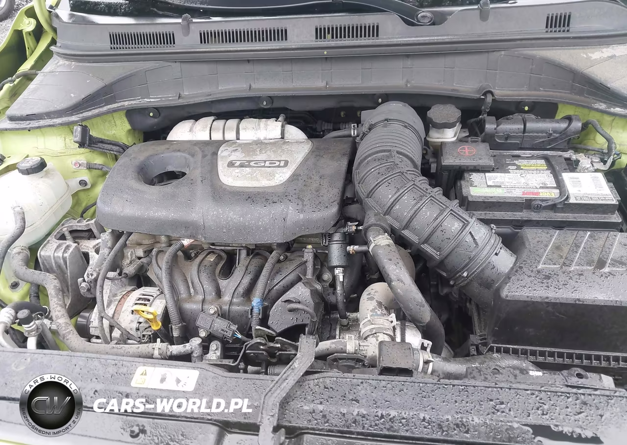2019 Hyundai Kona Ultimate VIN:KM8K5CA50KU221045 - 10