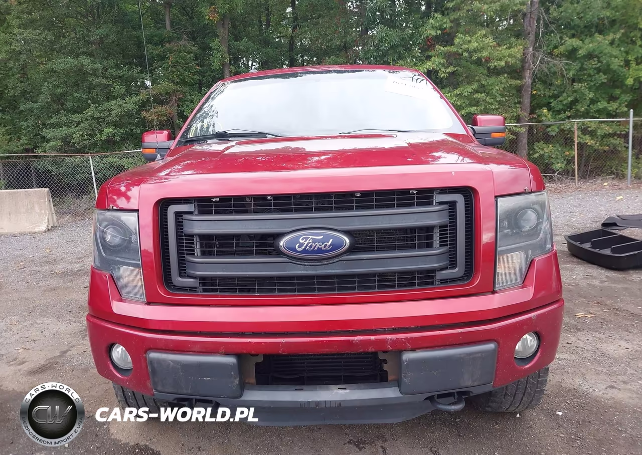 2013 Ford F-150 Fx4 VIN:1FTFW1ET9DFA29016 - 12