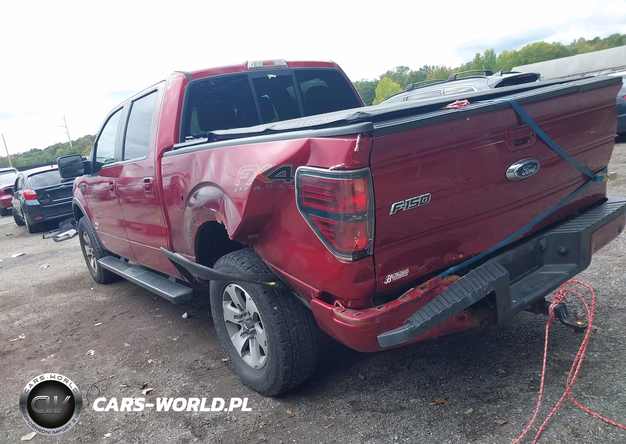 2013 Ford F-150 Fx4 VIN:1FTFW1ET9DFA29016 - 3