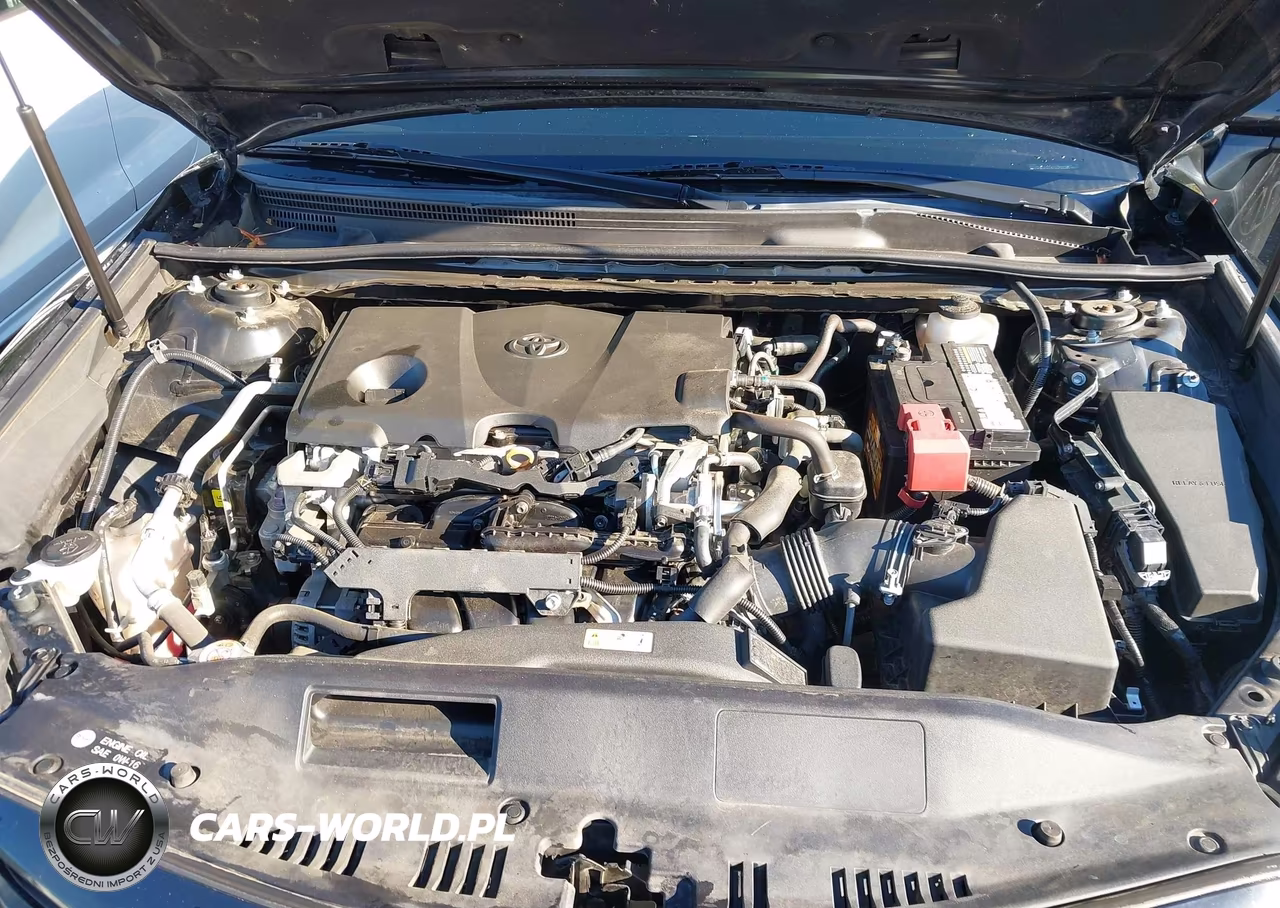 2019 Toyota Camry Xse VIN:4T1B61HK1KU795795 - 10