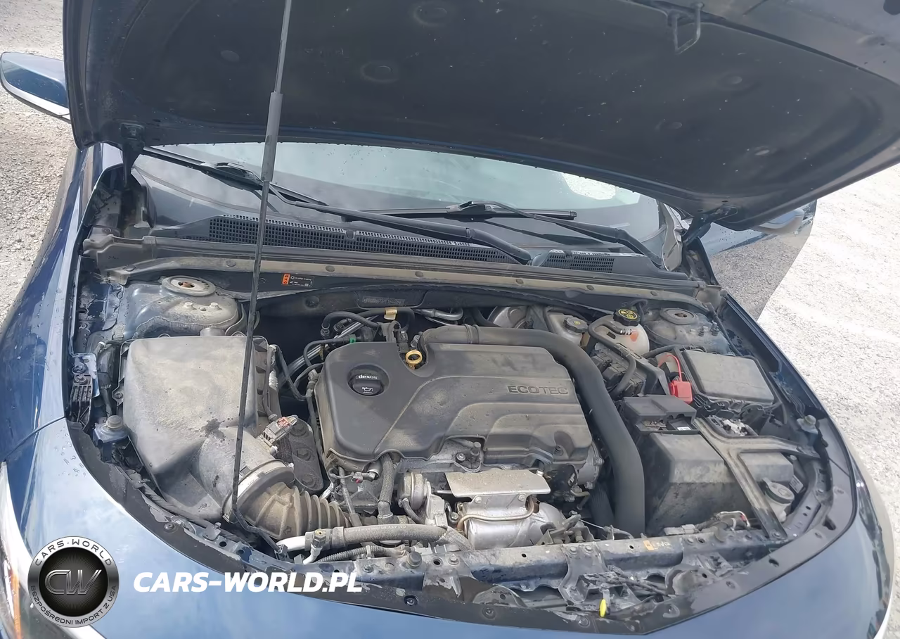 2019 Chevrolet Malibu Lt VIN:1G1ZD5ST6KF156665 - 10