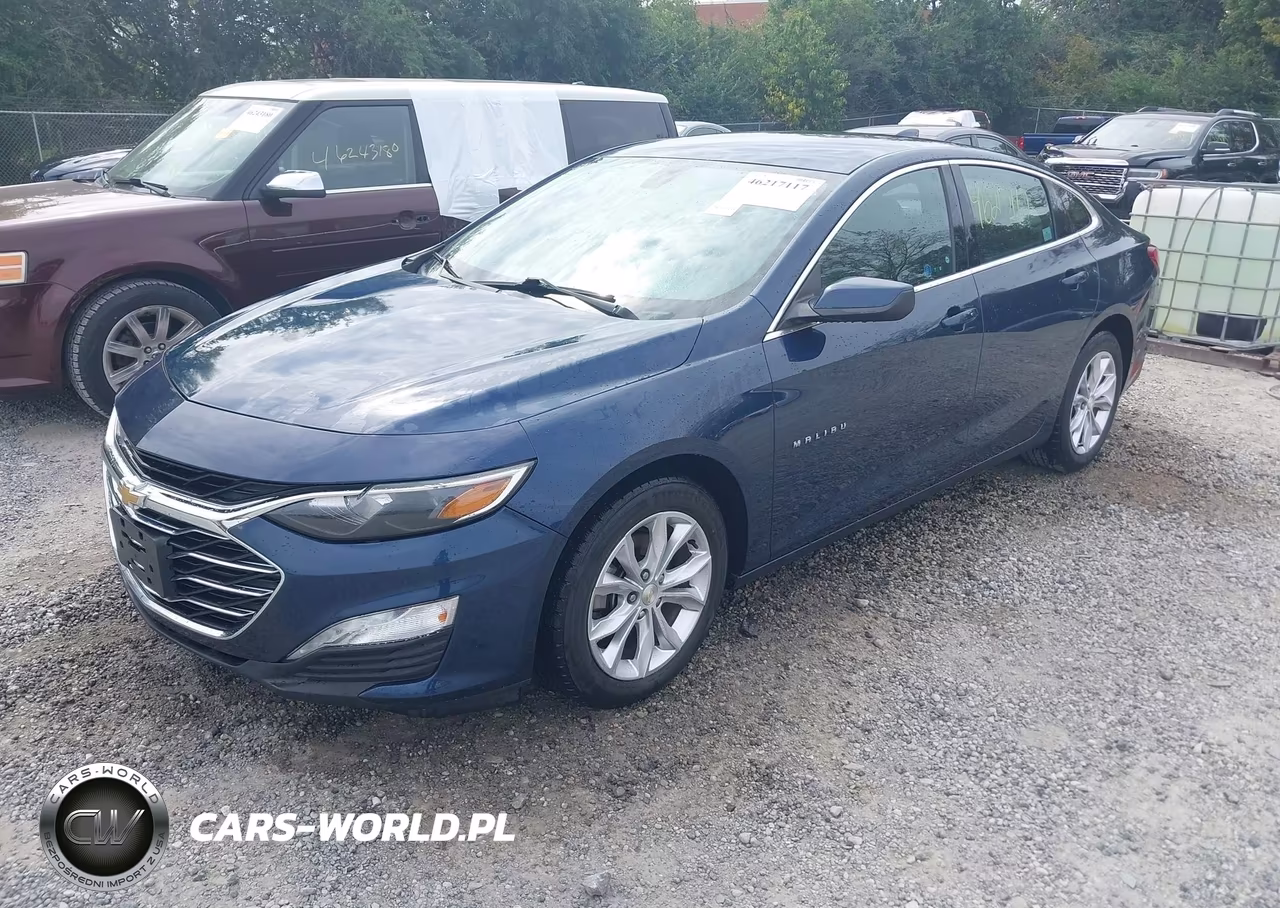 2019 Chevrolet Malibu Lt VIN:1G1ZD5ST6KF156665 - 2