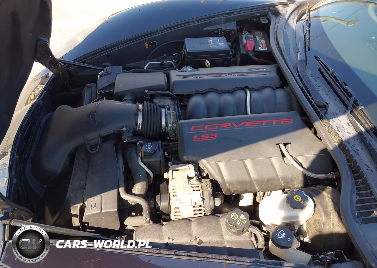 2013 Chevrolet Corvette VIN:1G1YF2DW9D5105942 - 10
