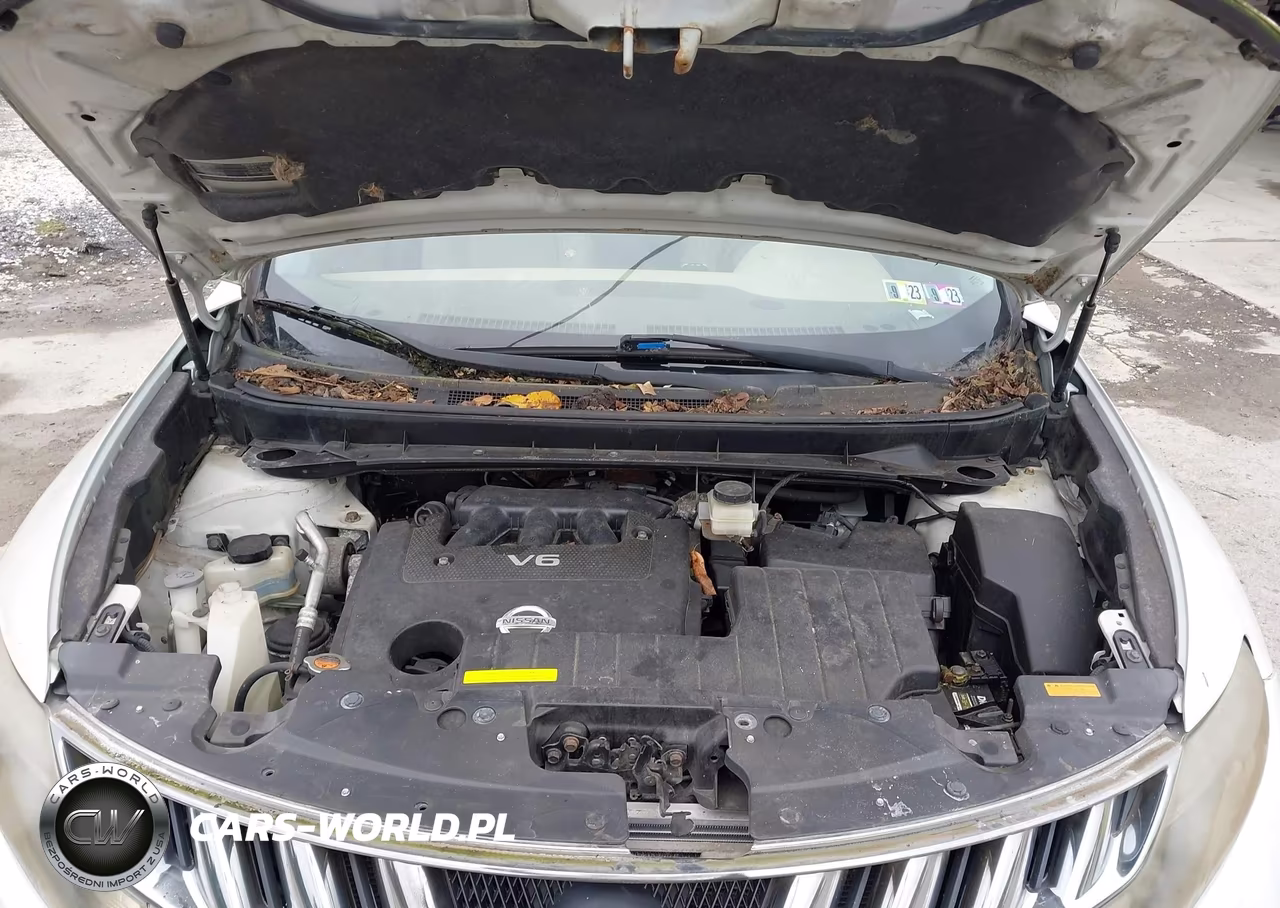 2009 Nissan Murano Le VIN:JN8AZ18W49W215159 - 10