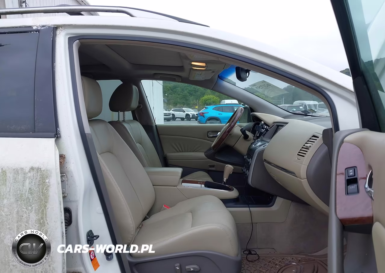 2009 Nissan Murano Le VIN:JN8AZ18W49W215159 - 5