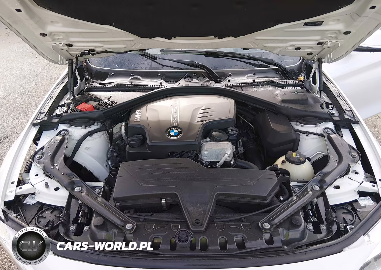 2015 BMW 428I xDrive VIN:WBA3V9C59F5A78394 - 10