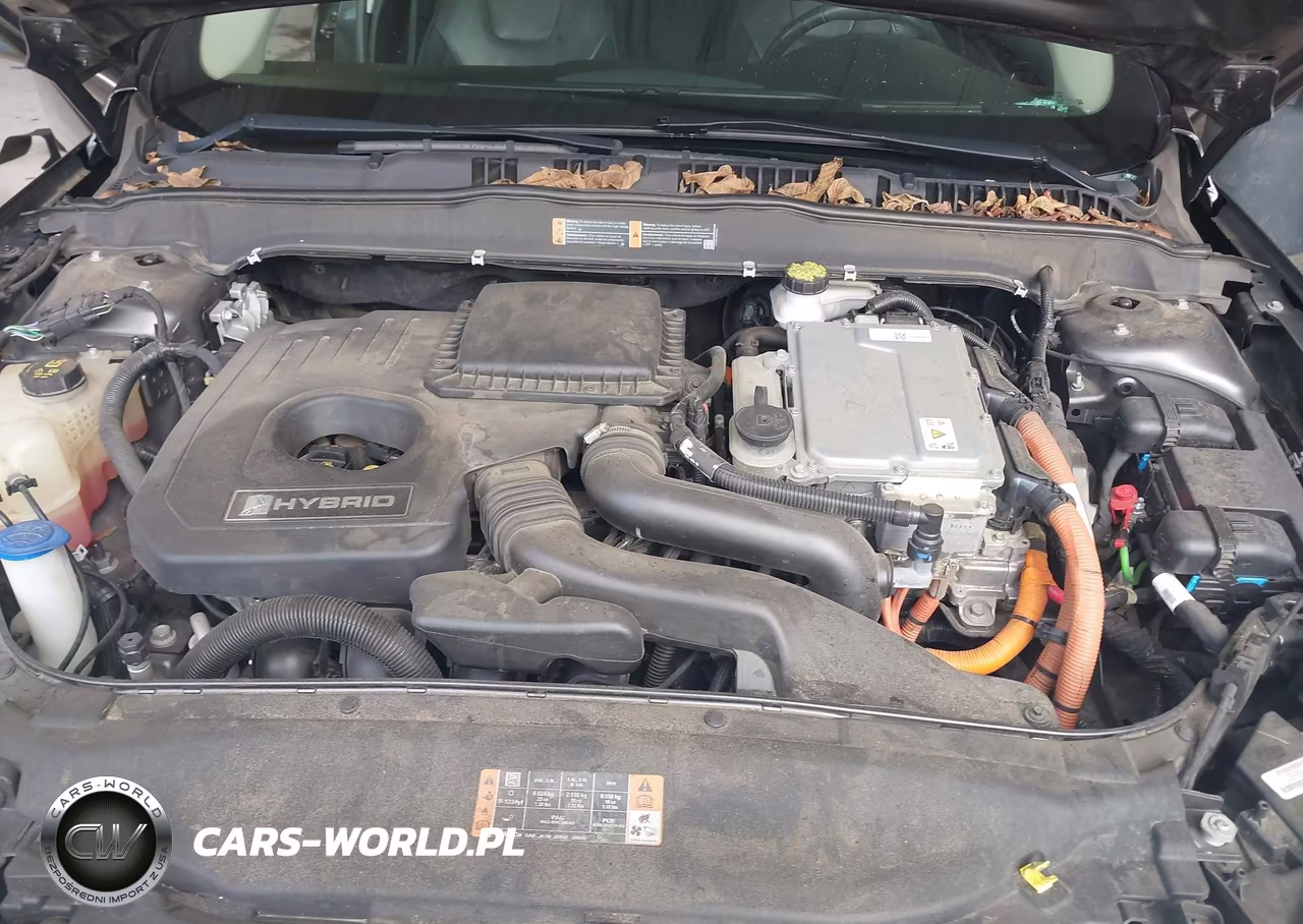 2019 Ford Fusion Hybrid Titanium VIN:3FA6P0RU1KR140417 - 10