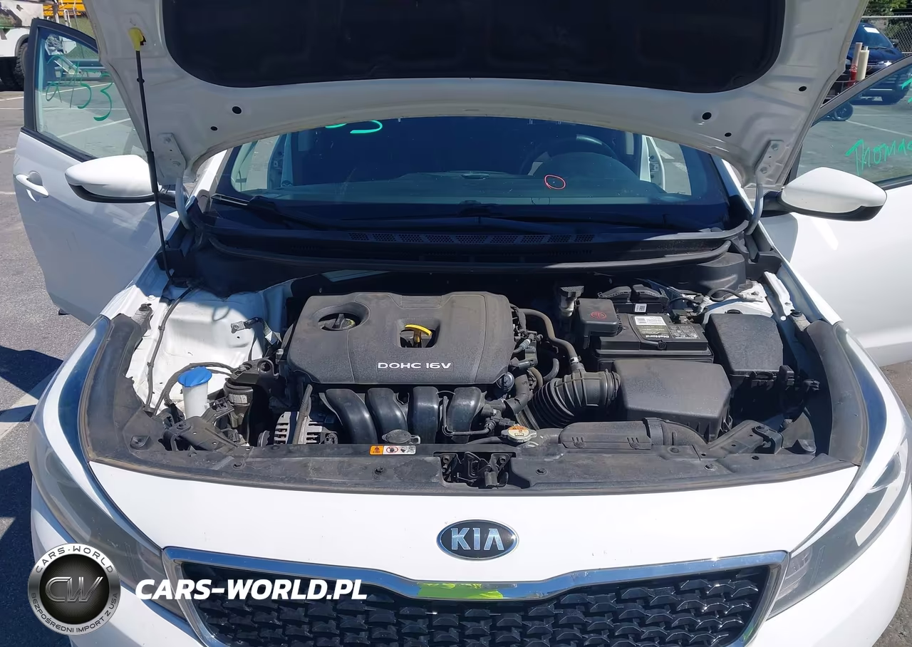2018 Kia Forte Lx VIN:3KPFK4A79JE245573 - 10