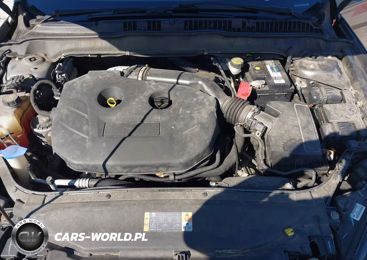2013 Ford Fusion Titanium VIN:3FA6P0D99DR335820 - 10