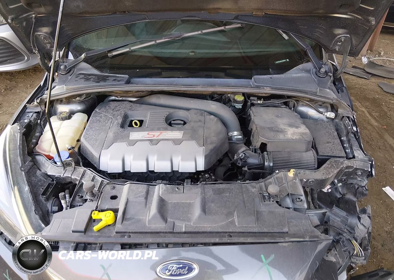 2018 Ford Focus St VIN:1FADP3L93JL322842 - 10