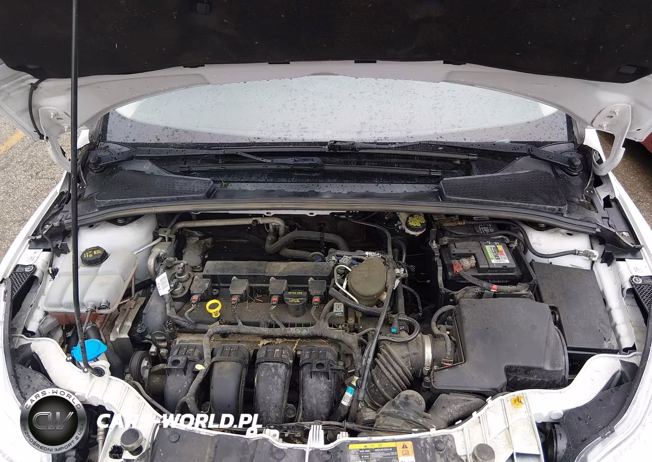 2014 Ford Focus Se VIN:1FADP3F25EL149362 - 10