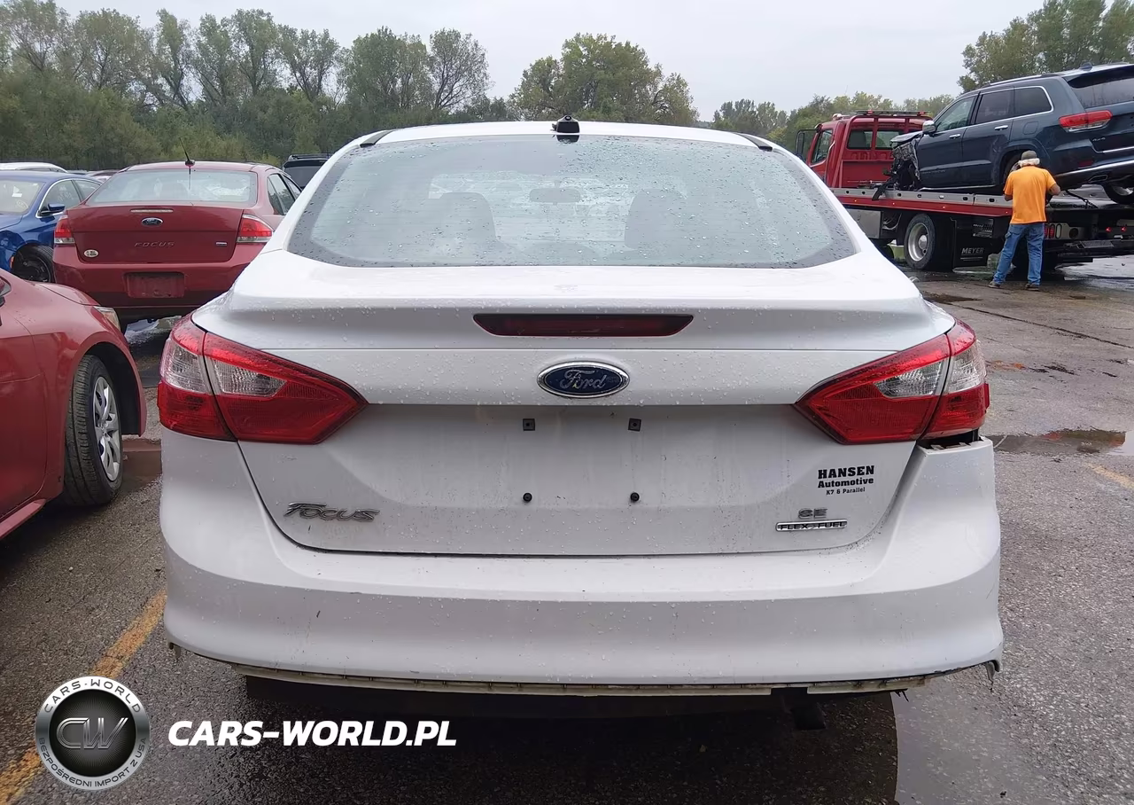 2014 Ford Focus Se VIN:1FADP3F25EL149362 - 17