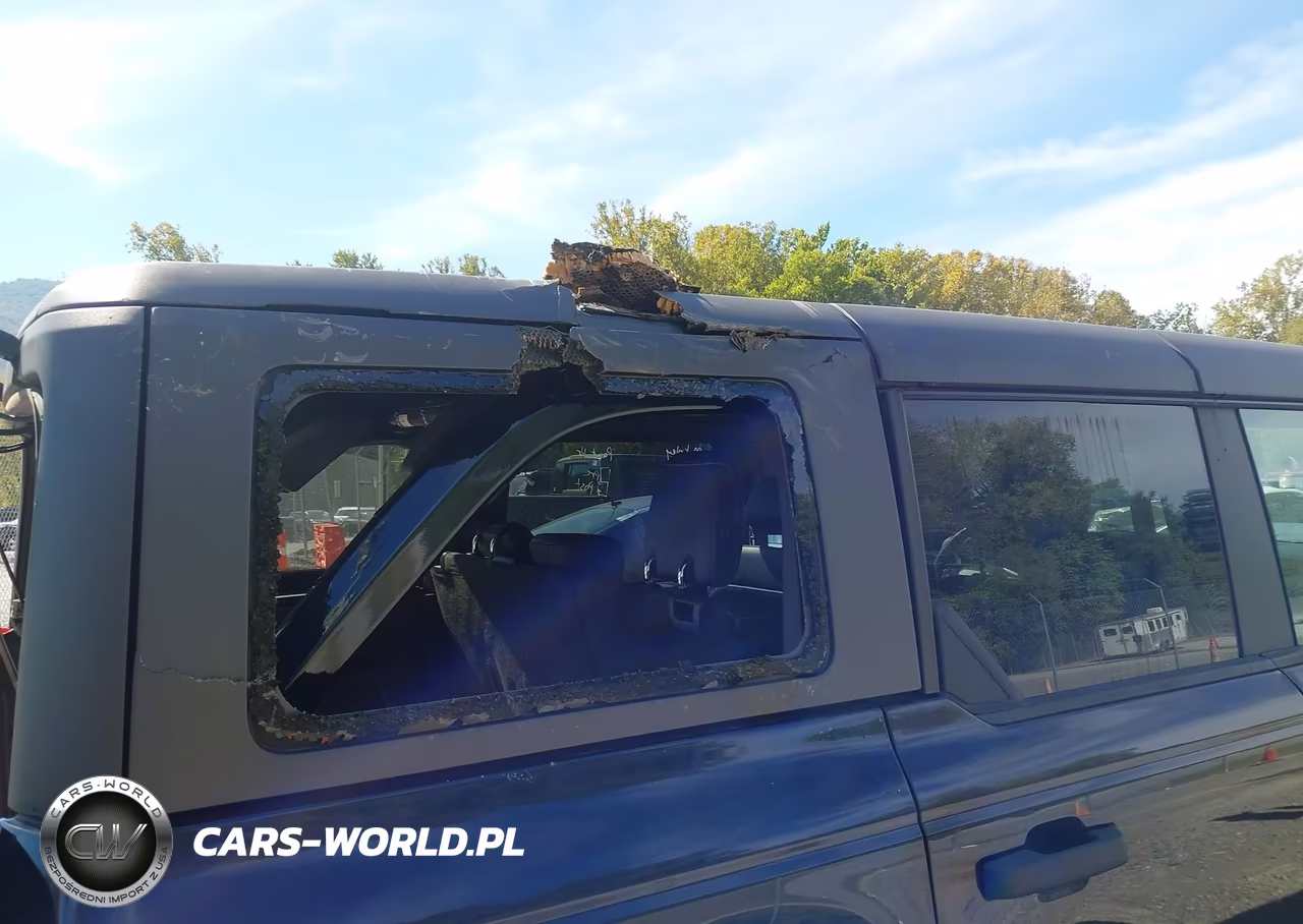2021 Ford Bronco Badlands VIN:1FMEE5DP8MLB02951 - 6