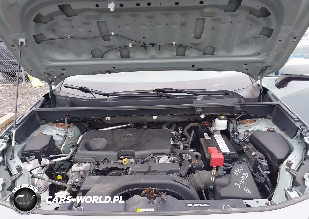 2019 Toyota Rav4 Xle-Xle Premium VIN:2T3P1RFV9KC008679 - 10