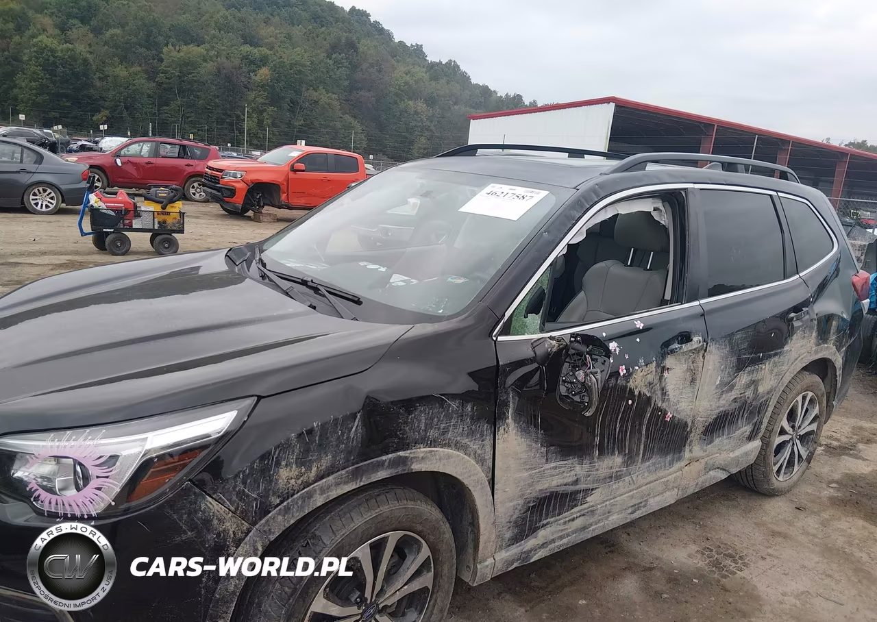 2020 Subaru Forester Limited VIN:JF2SKAUC0LH497832 - 6