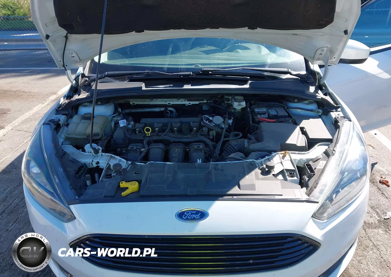 2018 Ford Focus Se VIN:1FADP3F29JL267702 - 10