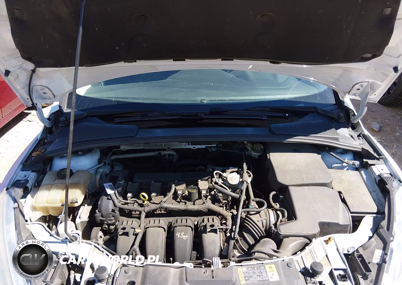 2016 Ford Focus Se VIN:1FADP3K29GL371265 - 10