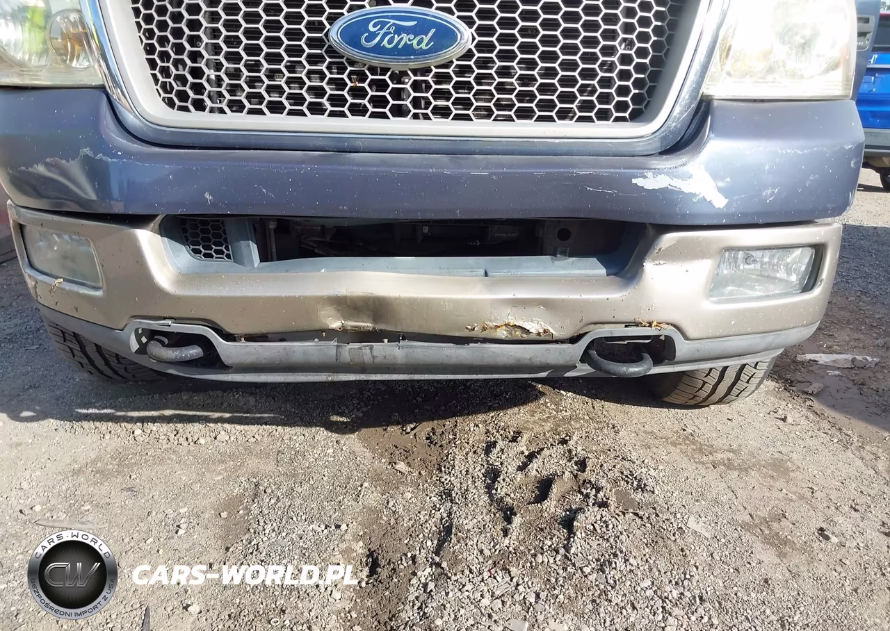 2004 Ford F-150 Fx4-Lariat-Xlt VIN:1FTPW14584KC05598 - 6