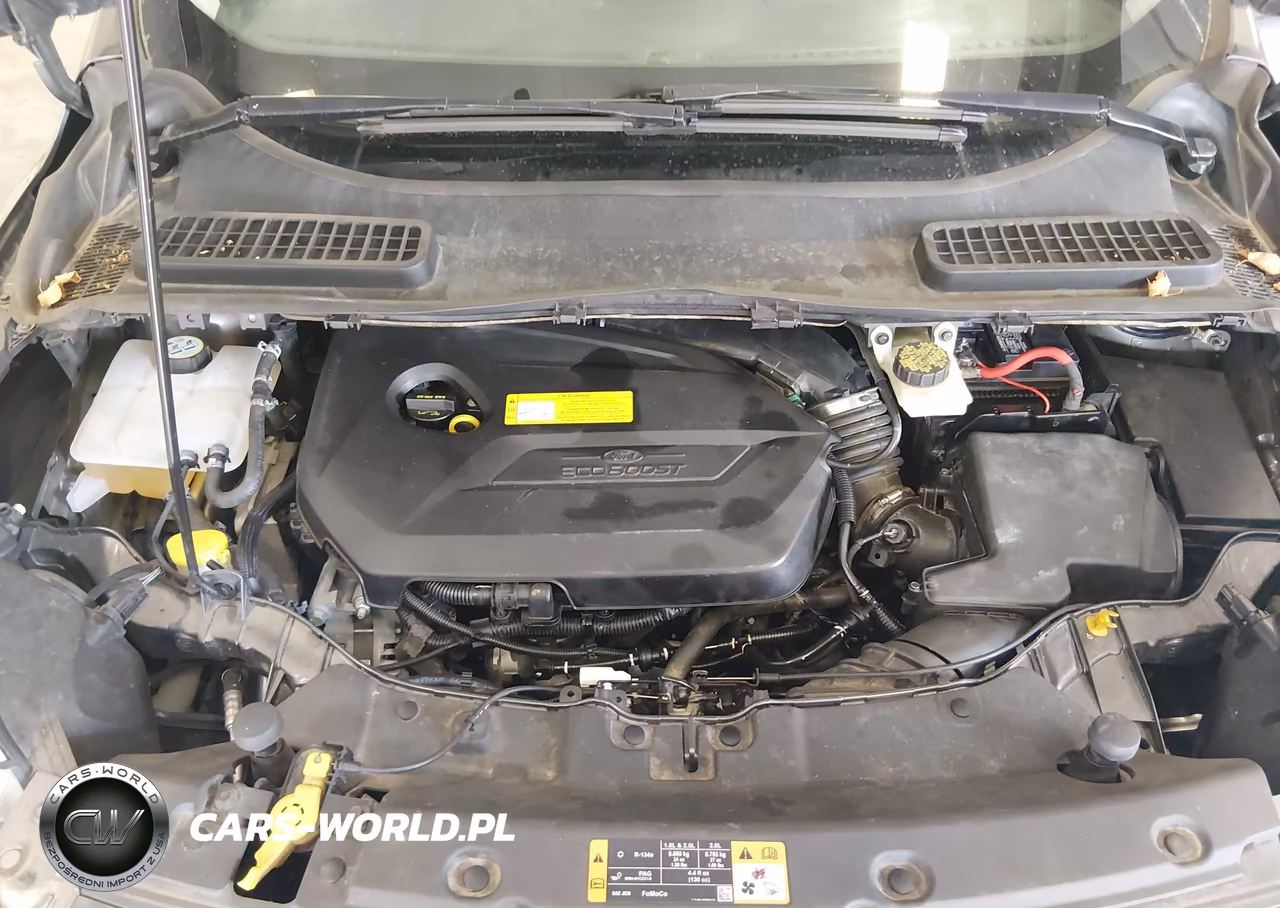 2014 Ford Escape Se VIN:1FMCU9GX6EUC83816 - 10