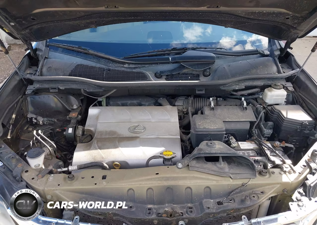 2014 Lexus Rx 350 VIN:2T2BK1BA3EC244569 - 10