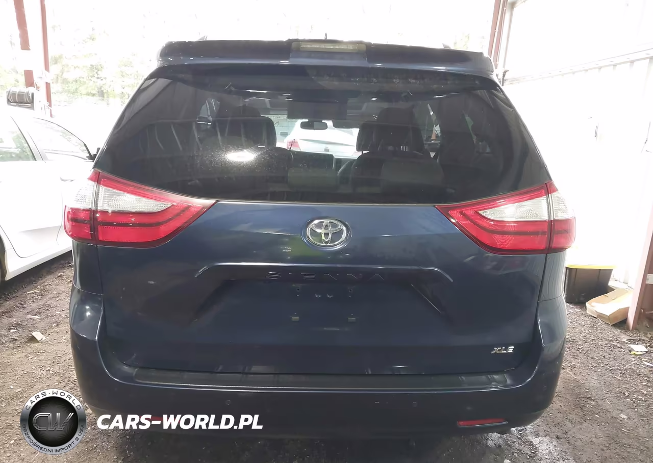 2019 Toyota Sienna Xle Premium 8 Passenger VIN:5TDYZ3DC6KS974421 - 17