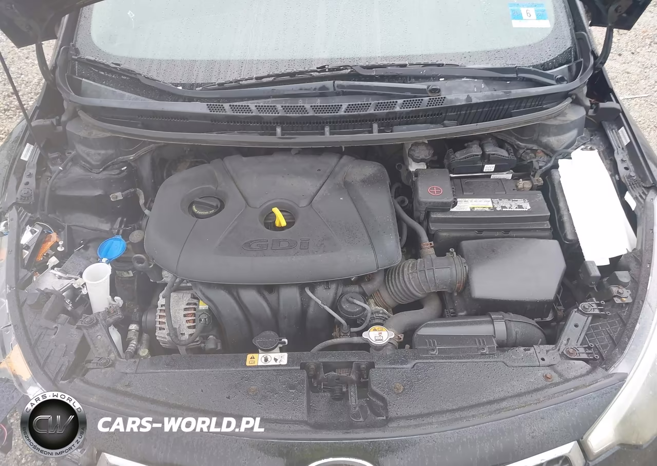 2014 Kia Forte Ex VIN:KNAFX5A85E5219499 - 10