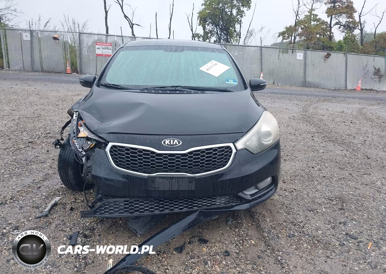 2014 Kia Forte Ex VIN:KNAFX5A85E5219499 - 13