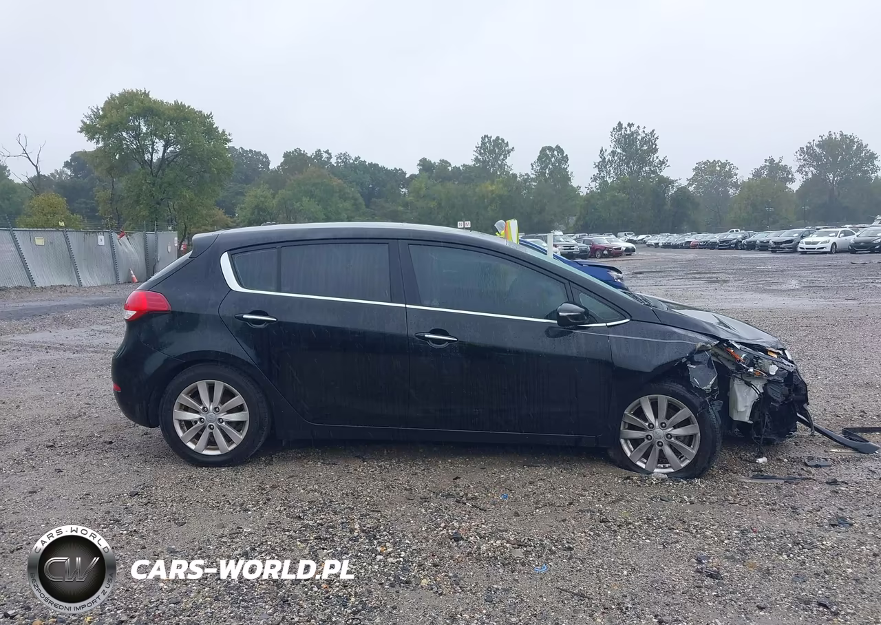 2014 Kia Forte Ex VIN:KNAFX5A85E5219499 - 14